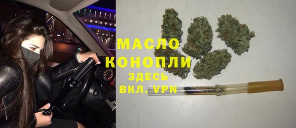 прущие грибы Костерёво