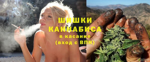 гашик Корсаков