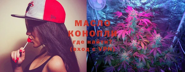 гашик Корсаков