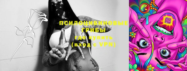 прущие грибы Костерёво